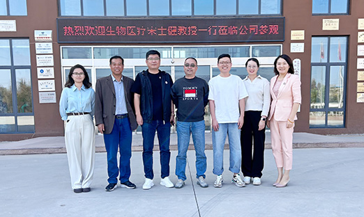 创新驱动科技，赋能产业发展