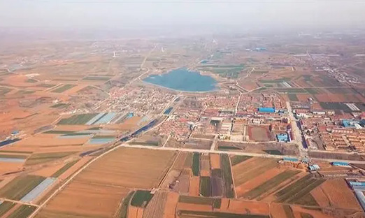 首部促进“大种业”发展地方性法规！《青岛市种业促进条例》出台